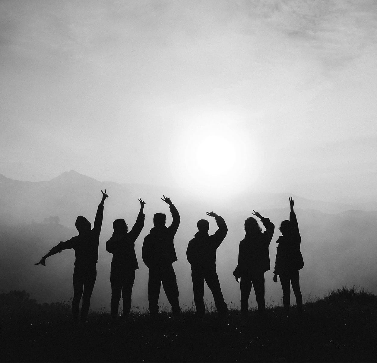 lacyme-collaboration